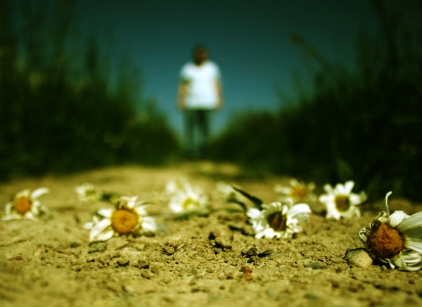 Photograph Andreas Kauppi Summer Days on One Eyeland